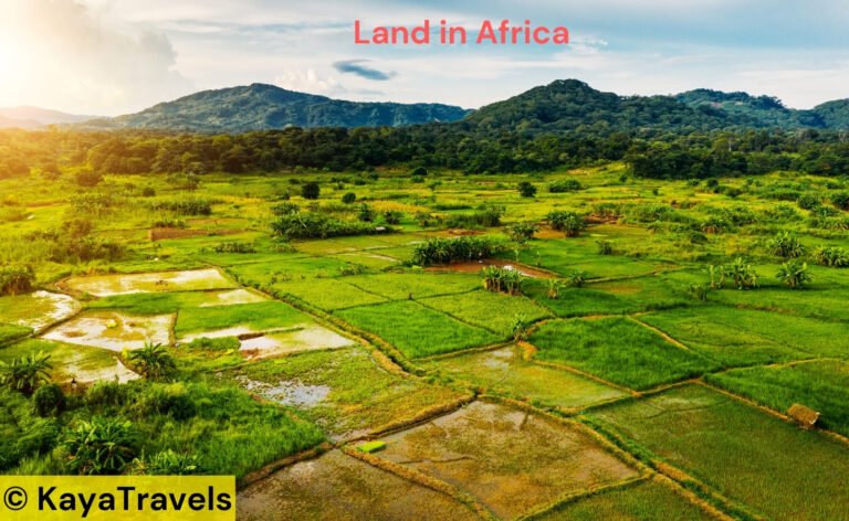 Best Places to Buy Land in Africa – Top Investment Opportunities
