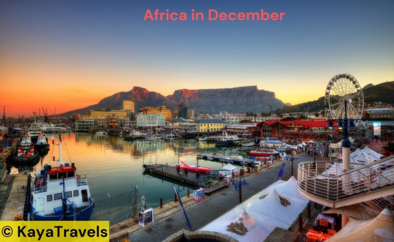 Best Places to Visit in Africa in December – Top Holiday Destinations