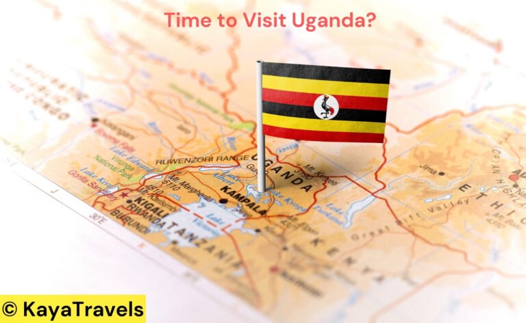 Best Time to Travel to Uganda – Ideal Months for Safari and Wildlife Viewing