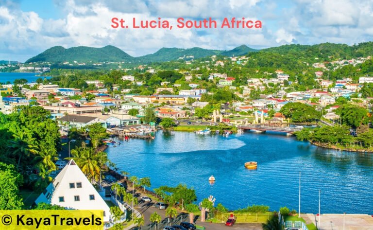 Places to Stay in St. Lucia, South Africa – Top Accommodation Picks