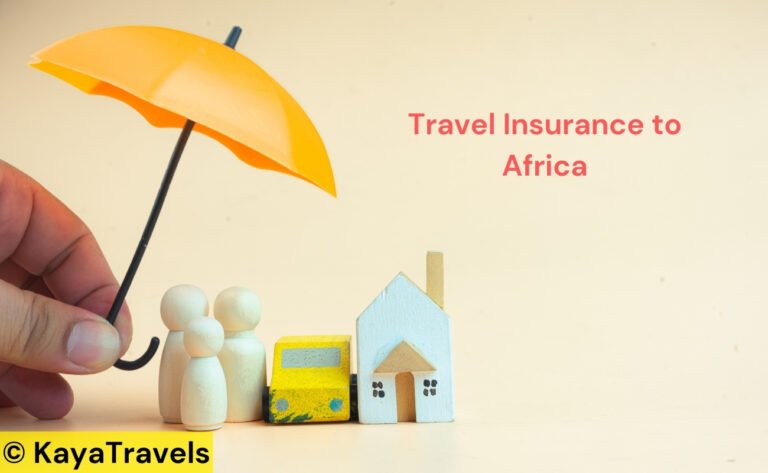 Travel Insurance to Africa – Essential Coverage for Your Safari Adventure
