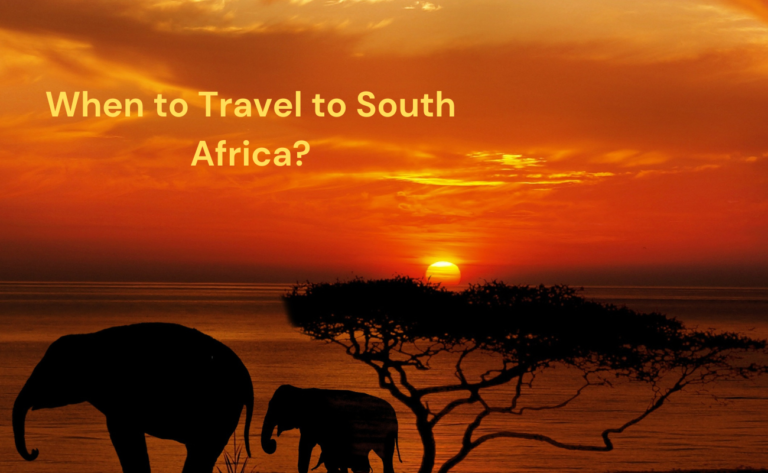 When to Travel to South Africa? Optimal Seasons & Times for Your Trip