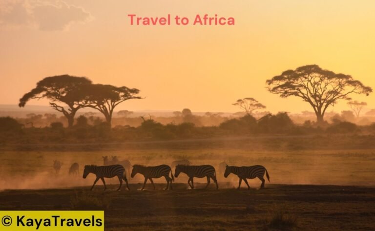 Travel to Africa 2024 -Essential Guide for the Adventure Seeker